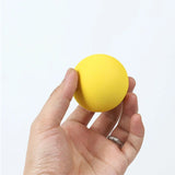 Cricket Fun Indoor and Outdoor Sports Set For Child