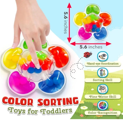 5-Color Sorting Sensory Toy for Kids Montessori Learning Game with Colorful Balls Fine Motor Skills Development Toy